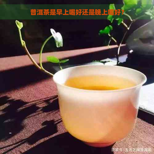 普洱茶是早上喝好还是晚上喝好？