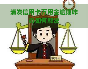 浦发信用卡万用金逾期咋办如何解决