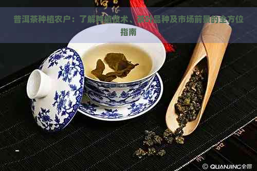 普洱茶种植农户：了解种植技术、茶叶品种及市场前景的全方位指南