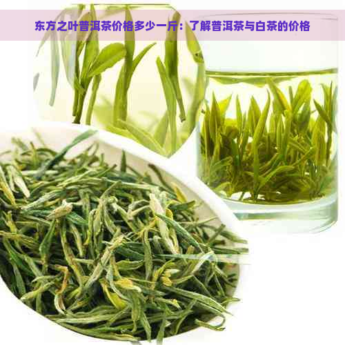 东方之叶普洱茶价格多少一斤：了解普洱茶与白茶的价格