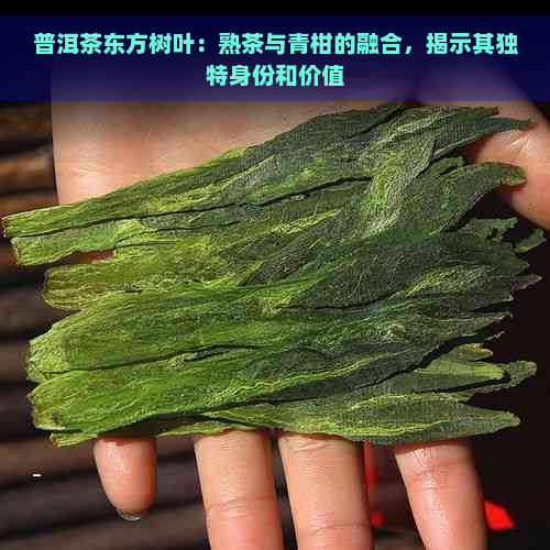 普洱茶东方树叶：熟茶与青柑的融合，揭示其独特身份和价值