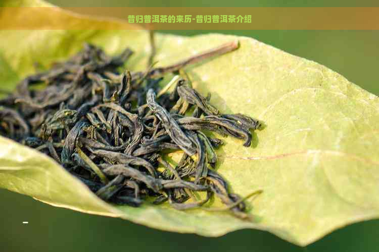 昔归普洱茶的来历-昔归普洱茶介绍