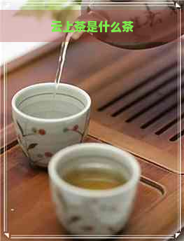 云上茶是什么茶