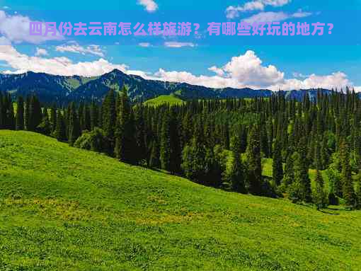 四月份去云南怎么样旅游？有哪些好玩的地方？