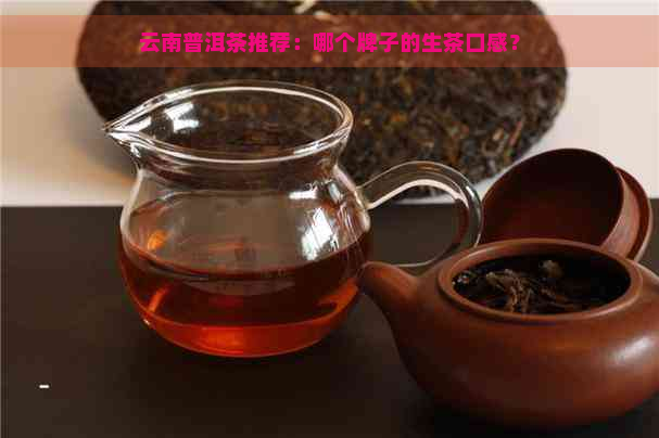 云南普洱茶推荐：哪个牌子的生茶口感？