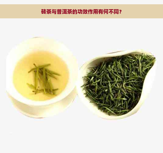 砖茶与普洱茶的功效作用有何不同？