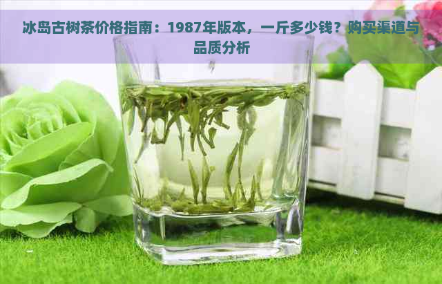 冰岛古树茶价格指南：1987年版本，一斤多少钱？购买渠道与品质分析