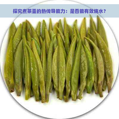 探究煮茶壶的热传导能力：是否能有效烧水？