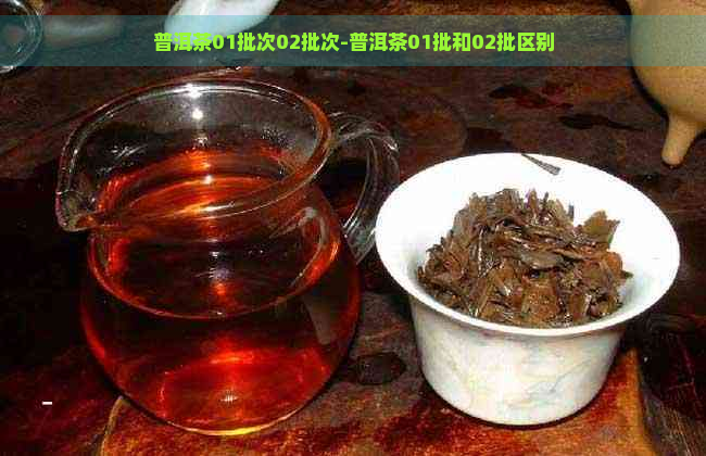 普洱茶01批次02批次-普洱茶01批和02批区别