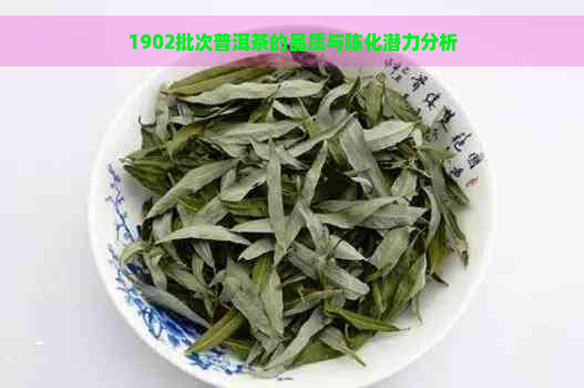 1902批次普洱茶的品质与陈化潜力分析