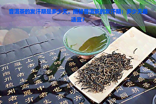 普洱茶的发汗期是多少天，揭秘普洱茶的发汗期：多少天最适宜？