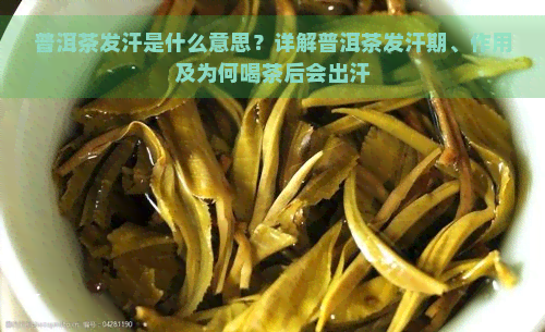 普洱茶发汗是什么意思？详解普洱茶发汗期、作用及为何喝茶后会出汗