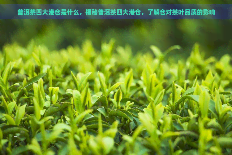 普洱茶四大港仓是什么，揭秘普洱茶四大港仓，了解仓对茶叶品质的影响