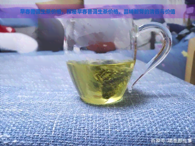 早春普洱生茶价格，探秘早春普洱生茶价格，品味新芽的清香与价值