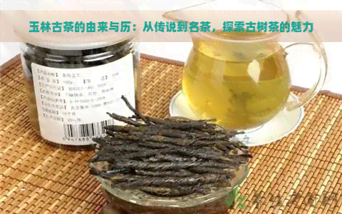 玉林古茶的由来与历：从传说到名茶，探索古树茶的魅力