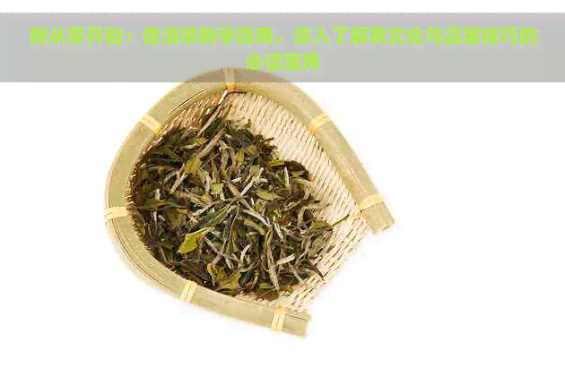 新从零开始：普洱茶新手指南，深入了解茶文化与品鉴技巧的必读宝典