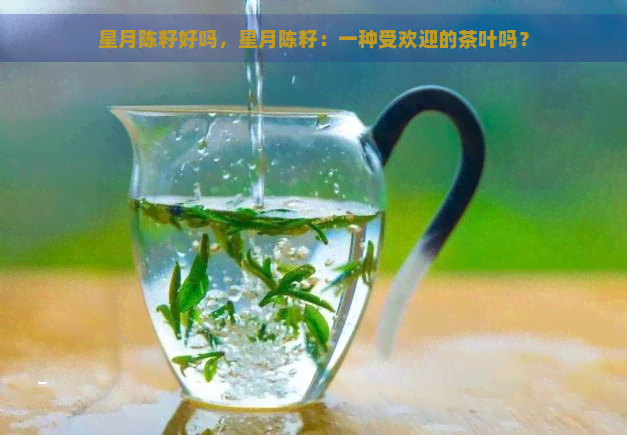 星月陈籽好吗，星月陈籽：一种受欢迎的茶叶吗？