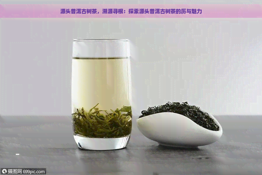 源头普洱古树茶，溯源寻根：探索源头普洱古树茶的历与魅力