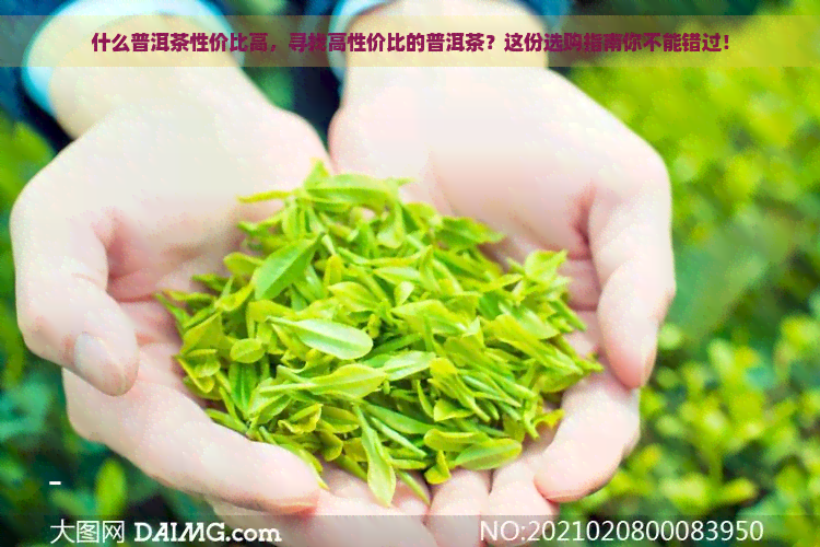 什么普洱茶性价比高，寻找高性价比的普洱茶？这份选购指南你不能错过！