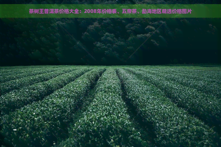 茶树王普洱茶价格大全：2008年价格表、五帝茶、勐海地区精选价格图片