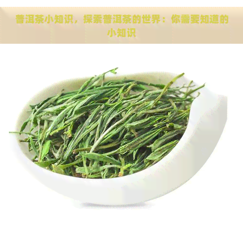 普洱茶小知识，探索普洱茶的世界：你需要知道的小知识