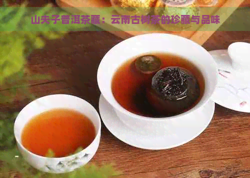 山夫子普洱茶藏：云南古树茶的珍藏与品味