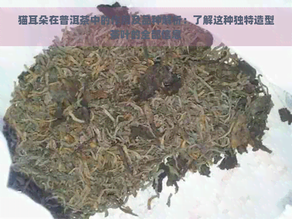 猫耳朵在普洱茶中的作用及品种解析：了解这种独特造型茶叶的全部信息