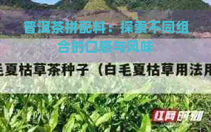 普洱茶拼配料：探索不同组合的口感与风味