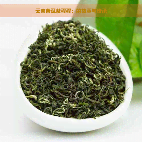 云南普洱茶程程：的故事与传承