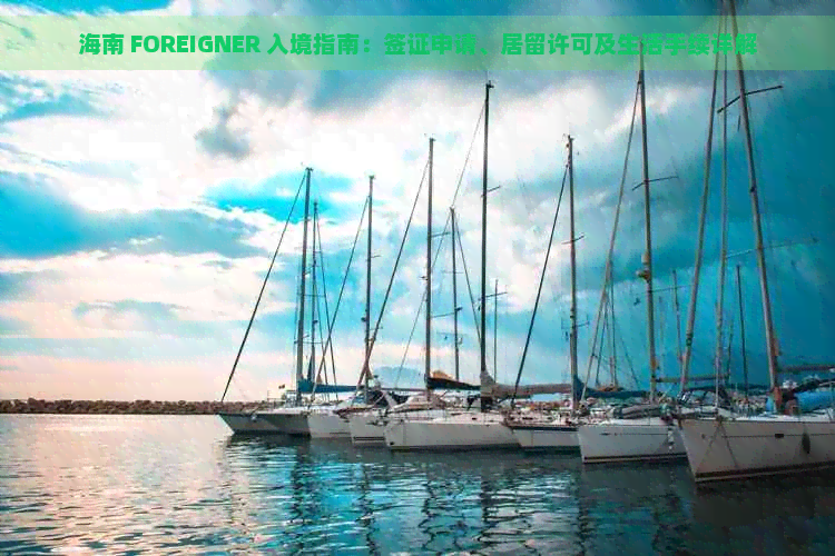 海南 FOREIGNER 入境指南：签证申请、居留许可及生活手续详解