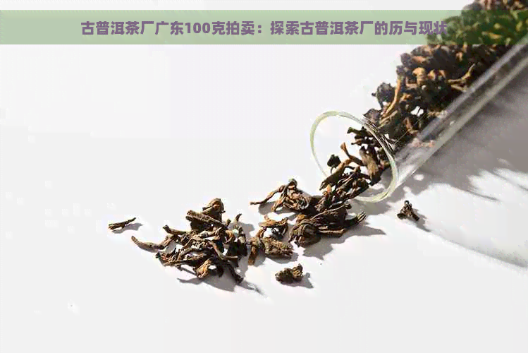 古普洱茶厂广东100克拍卖：探索古普洱茶厂的历与现状