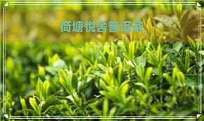 荷塘悦舍普洱茶