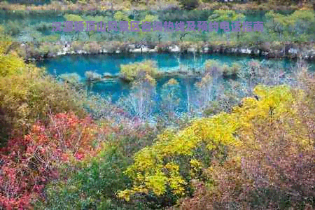 汉源轿顶山风景区咨询热线及预约电话指南