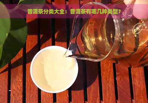 普洱茶分类大全：普洱茶有哪几种类型？