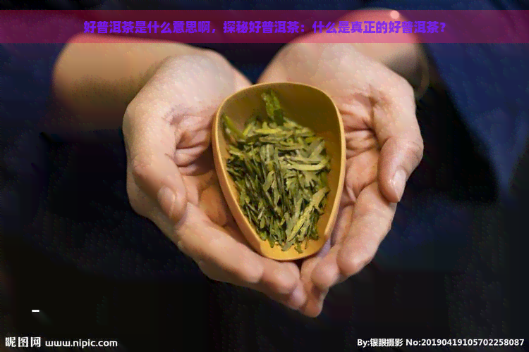 好普洱茶是什么意思啊，探秘好普洱茶：什么是真正的好普洱茶？