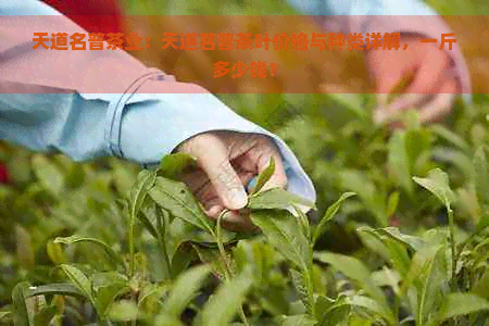 天道名普茶业：天道茗普茶叶价格与种类详解，一斤多少钱？