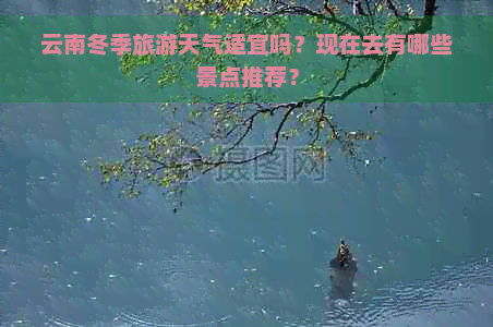 云南冬季旅游天气适宜吗？现在去有哪些景点推荐？