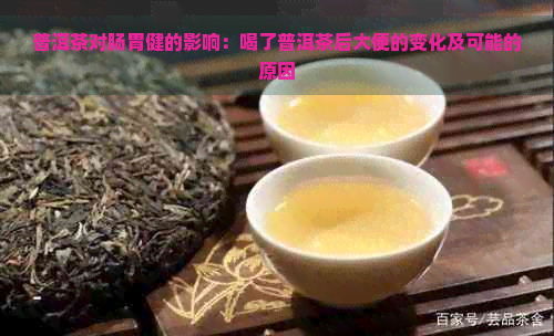 普洱茶对肠胃健的影响：喝了普洱茶后大便的变化及可能的原因