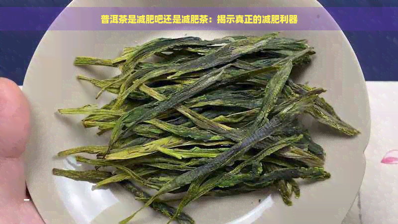 普洱茶是减肥吧还是减肥茶：揭示真正的减肥利器