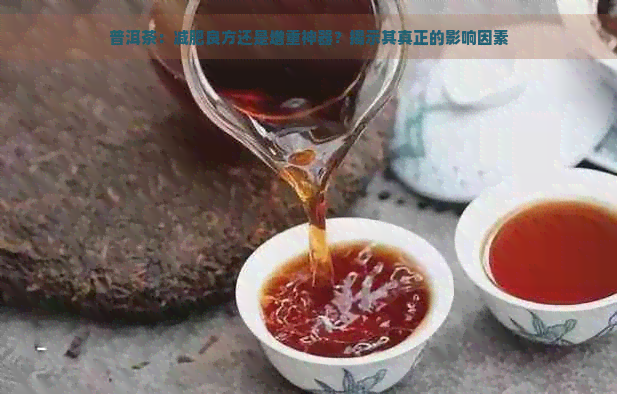 普洱茶：减肥良方还是增重神器？揭示其真正的影响因素