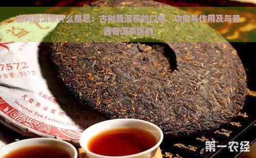 古树普洱茶什么意思：古树普洱茶的口感、功效与作用及与普通普洱茶区别