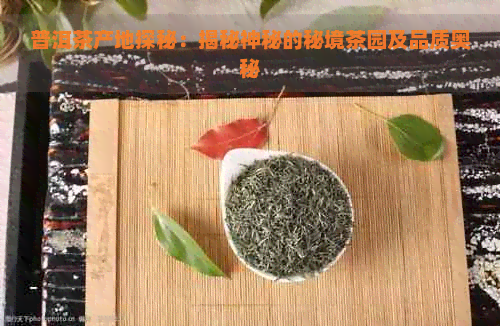 普洱茶产地探秘：揭秘神秘的秘境茶园及品质奥秘