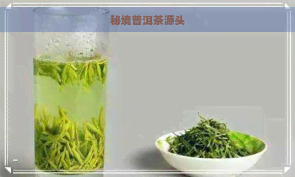 秘境普洱茶源头