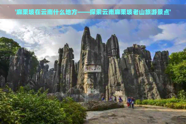 '麻栗坡在云南什么地方——探索云南麻栗坡老山旅游景点'