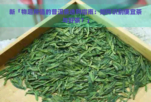 新「物超所值的普洱茶选购指南：如何识别便宜茶与好茶？」