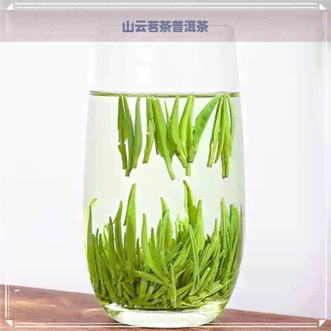 山云茗茶普洱茶