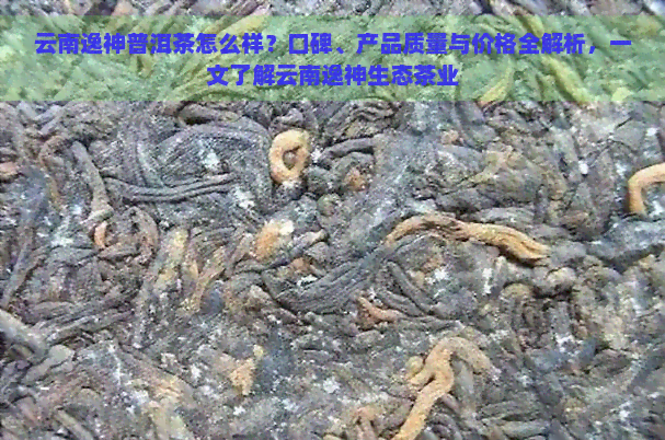 云南逸神普洱茶怎么样？口碑、产品质量与价格全解析，一文了解云南逸神生态茶业