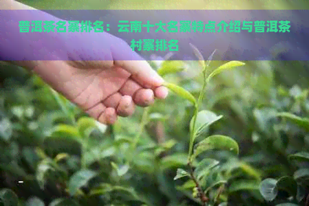 普洱茶名寨排名：云南十大名寨特点介绍与普洱茶村寨排名