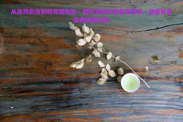 从选购到泡制的完整指南：如何正确冲泡普洱茶饼，品鉴普洱茶的极致风味