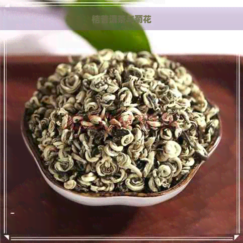 桔普洱茶与菊花